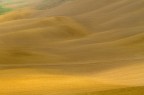 Terra di Siena