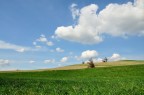 Paesaggio Rurale minimale Paesaggio Rurale minimale