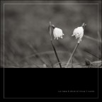 La casa è dove si trova il Cuore La casa è dove si trova il Cuore