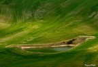 Terra di Siena 2