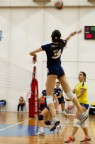 Volley B2 Cus Milano vs Trento Volley B2 Cus Milano vs Trento