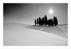 ombre lunghe