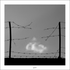 ... e oltre, la libertà! ... e oltre, la libertà!