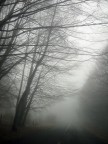 Trame nella nebbia Trame nella nebbia