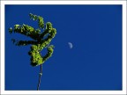 Dalla Natura alla Luna
