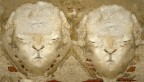 Scalcinati