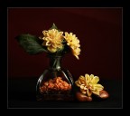 Non trattata Non trattata