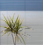 l'abito a righe l'abito a righe