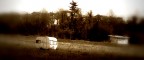 La Mia residenza estiva La Mia residenza estiva