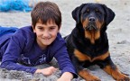 my son & my dog my son & my dog