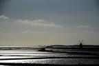 ...saline