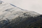 Solo il rumore del silenzio