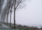 bianco bianco