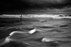 Black Sea Black Sea