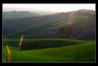 campagna senese campagna senese