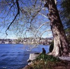 Scorcio di Lugano Scorcio di Lugano