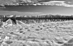 Vigneto innevato Vigneto innevato