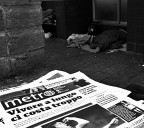 Metro hotel... Metro hotel...