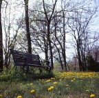 Panchina con fiori Panchina con fiori