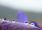 prove di macro prove di macro