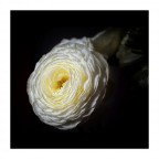 Lamp in the dark Lamp in the dark