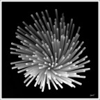 Ghetti S.p.a. Ghetti S.p.a.