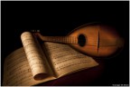 Musica Musica