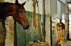 IL CAVALLO E LA BAMBINA IL CAVALLO E LA BAMBINA