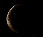 ::: New Moon ::: ::: New Moon :::