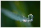 Drops Collection Drops Collection