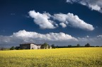 La Casa di Campagna La Casa di Campagna