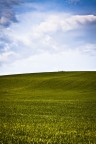 st