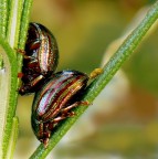 Stiamo vicini vicini...... Stiamo vicini vicini......