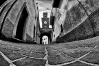 D300 e AF DX Fisheye-Nikkor 10.5mm f/2.8 G ED 

Grazie in anticipo per suggerimenti e critiche.