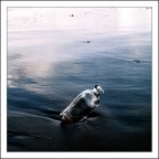 Messaggi Perduti Messaggi Perduti