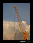 Crane Crane