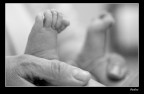 Piedini Piedini