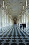 la Venaria