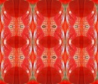 Rosso Piaggio