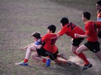 Rugby Rugby