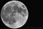 È tutta colpa della luna! È tutta colpa della luna!