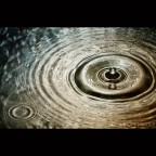 ...l'or du monde. ...l'or du monde.