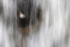 ..e anche oggi piove. ..e anche oggi piove.