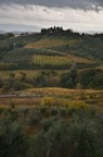 Campagne Senesi #2 Campagne Senesi #2
