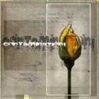 CONTAMINAZIONI CONTAMINAZIONI