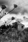In Memories #3 In Memories #3
