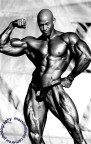 BODY BUILDERS 3 BODY BUILDERS 3