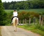verso il ranch . verso il ranch .