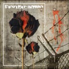 FIORI DI CAMPO FIORI DI CAMPO