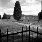 Tra storia e natura Tra storia e natura